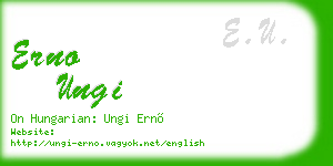 erno ungi business card